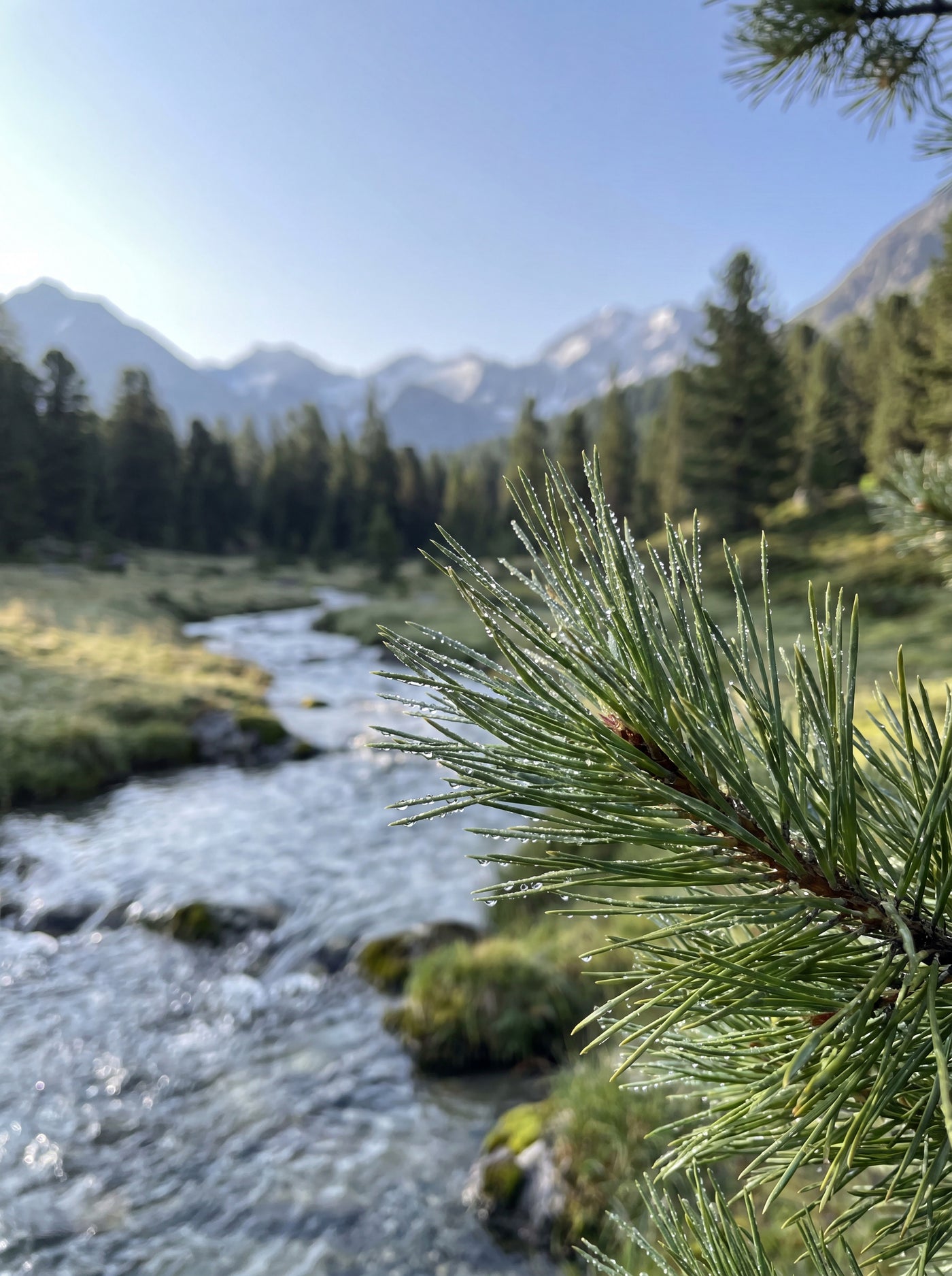 TERRA Extrait de Parfum von Vallée Alpura