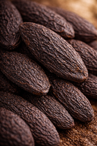 TERRA – Probeflasche 2 ml