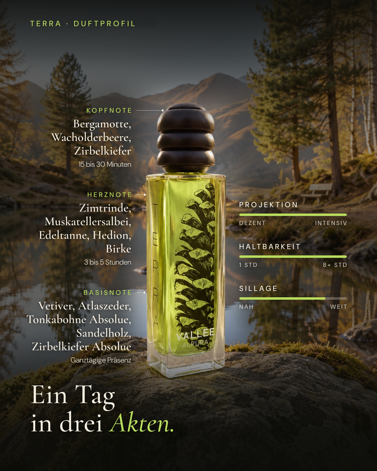 Duftprofil TERRA: Kopfnote Bergamotte, Wacholderbeere, Zirbelkiefer, Herz Zimtrinde und Birke, Basis Vetiver, Tonkabohne, Sandelholz