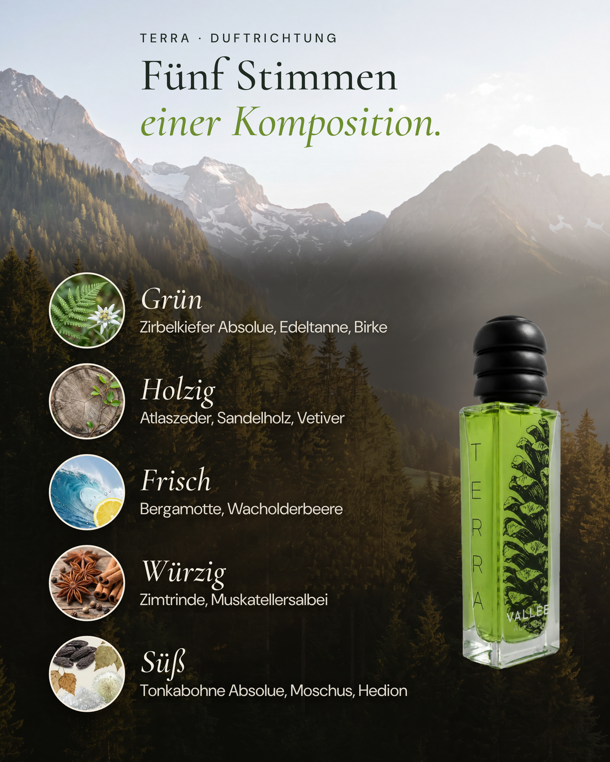 Duftrichtung TERRA: grün, holzig, frisch, würzig und süß mit Tonkabohne und Moschus
